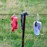 Colorful Shoes on a Fence