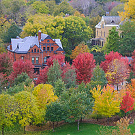 click for the Fall Colors Gallery