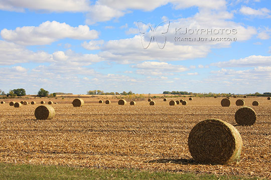 Rolled Bales of Hay