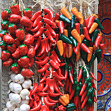 Colorful Chiles - Chiles and Garlic in Sicily