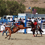 Legs Out - San Juan Capistrano Rodeo