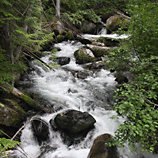 Rushing Stream - Leavenworth, Washington