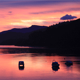 Sublime Sunrise - Picton NZ