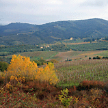 Raddas Landscape