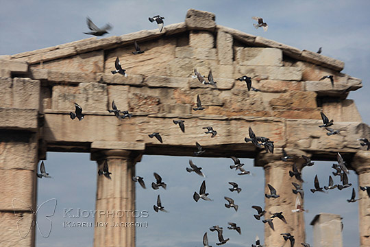 Birds in Flight - Roman Agora, Athens