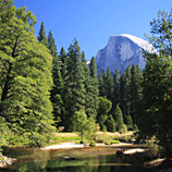 Half Dome's Refection - Yosemite